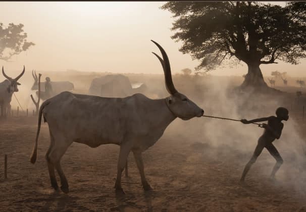 Image from South Sudan