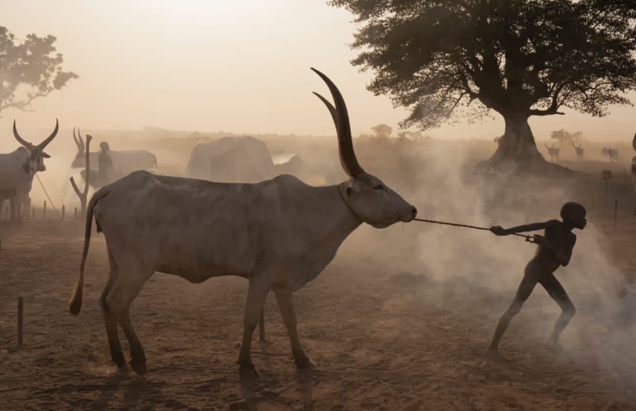 Image from South Sudan