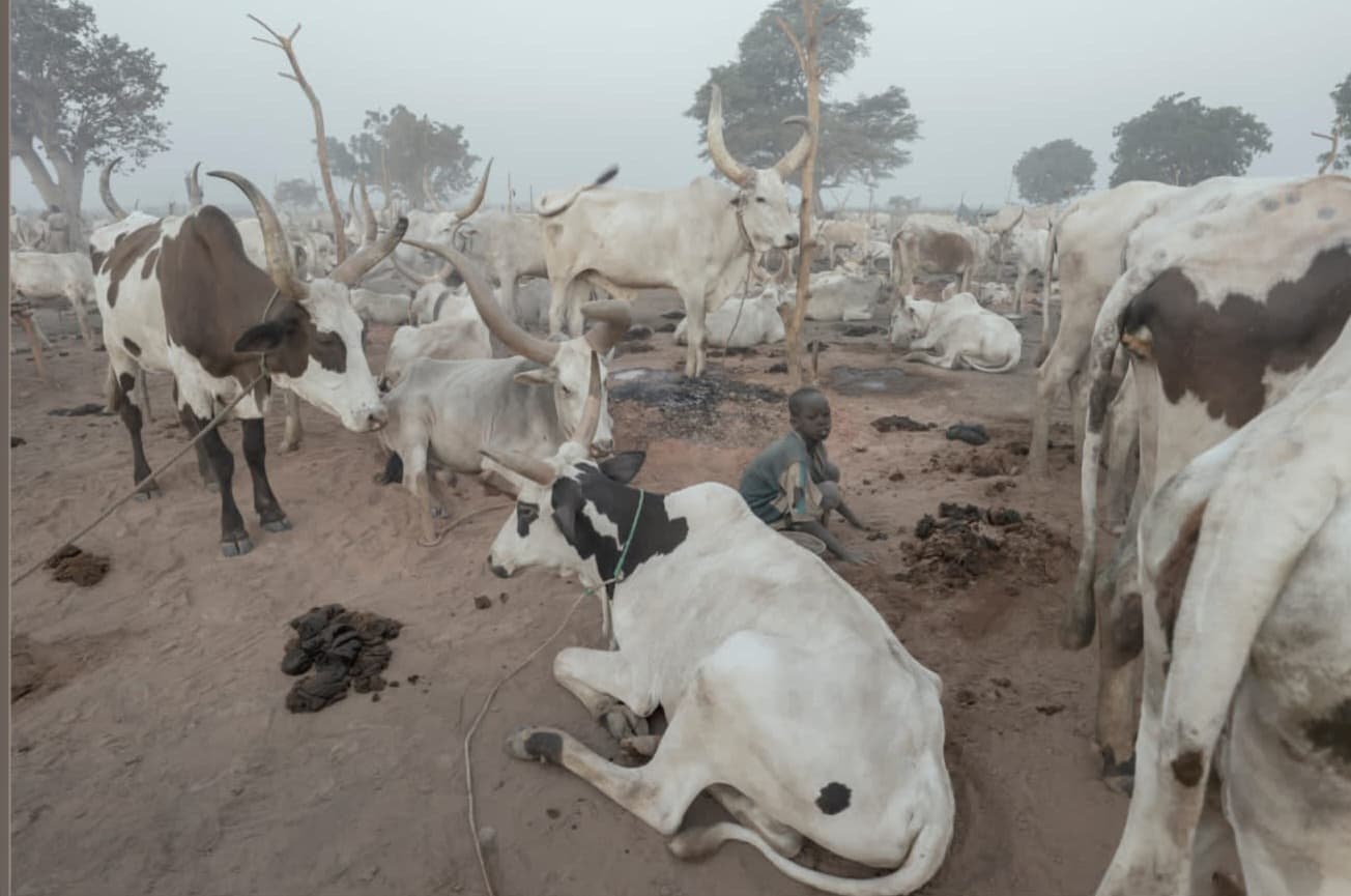 Image from South Sudan