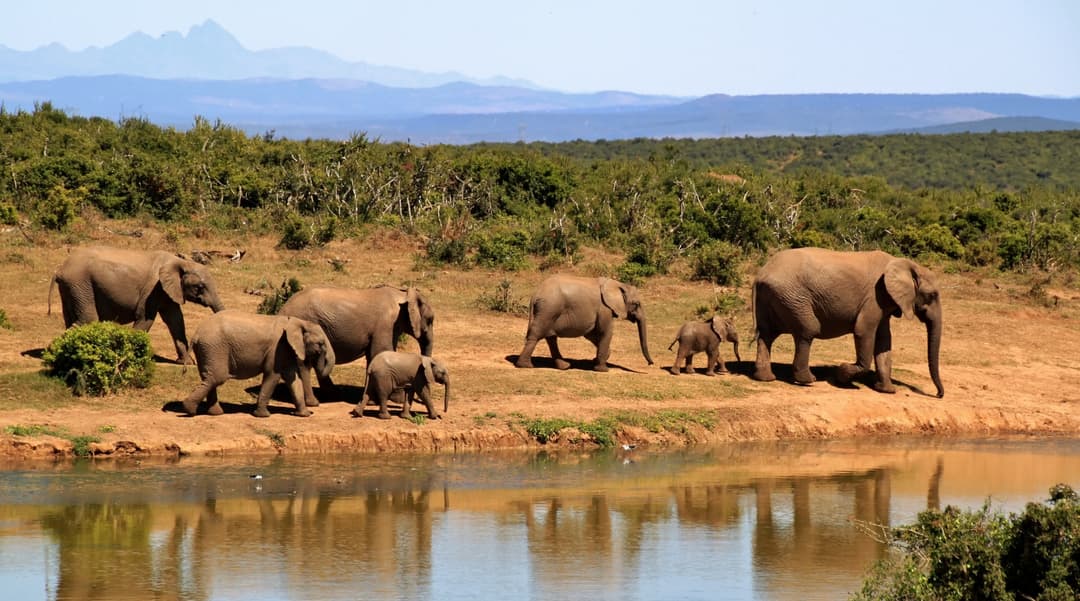 Greater Murle Game Reserve