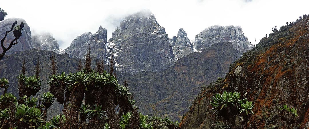 Rwenzori Mountains National Park