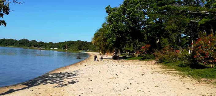 Ssese Islands