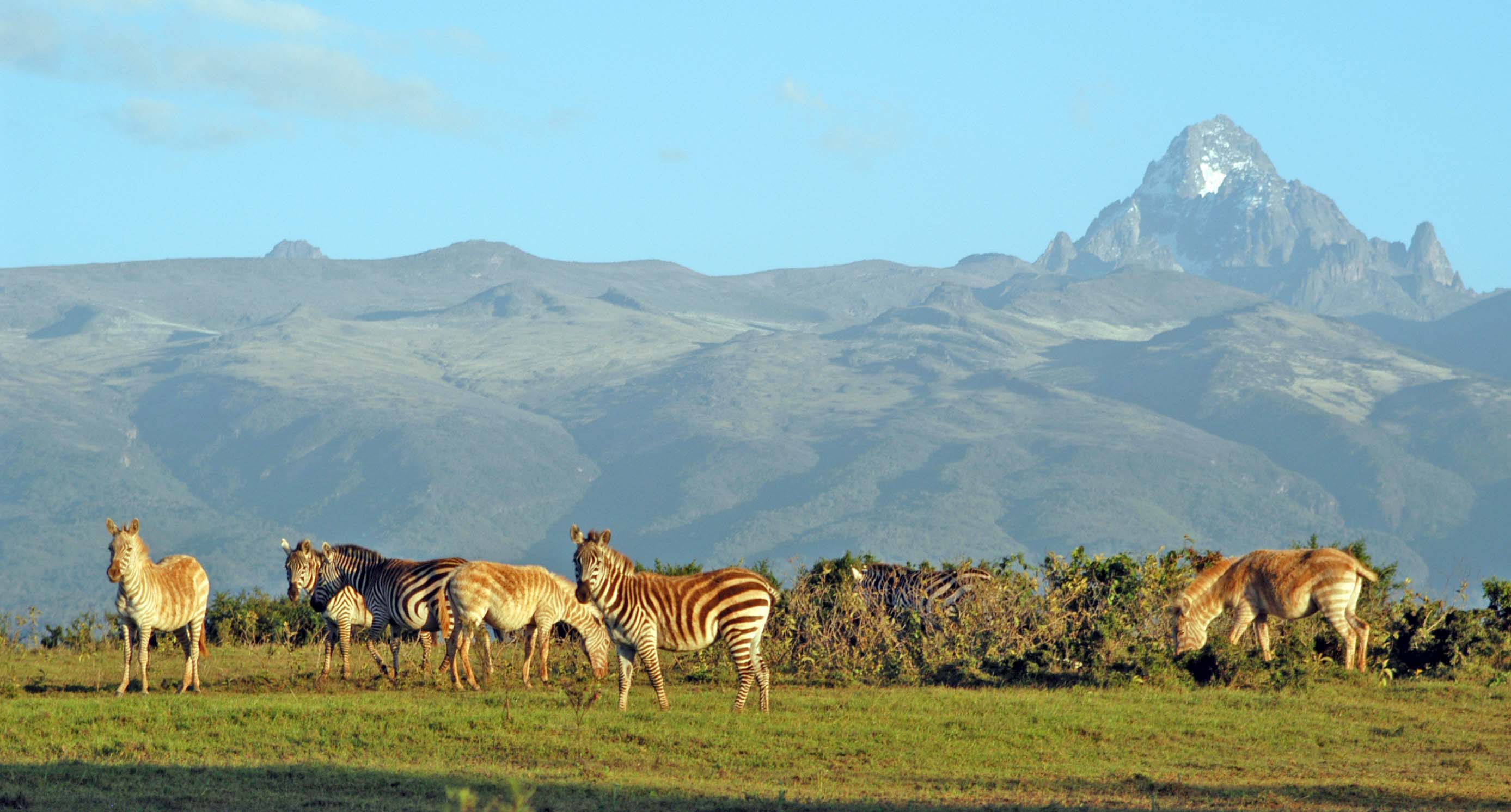 Maasai Mara